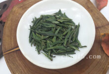 茶叶新林玉露的作用与禁忌-茗扬网