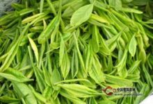 中岳仙茶的冲泡方法-茗扬网
