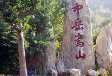 中岳仙茶产地-茗扬网