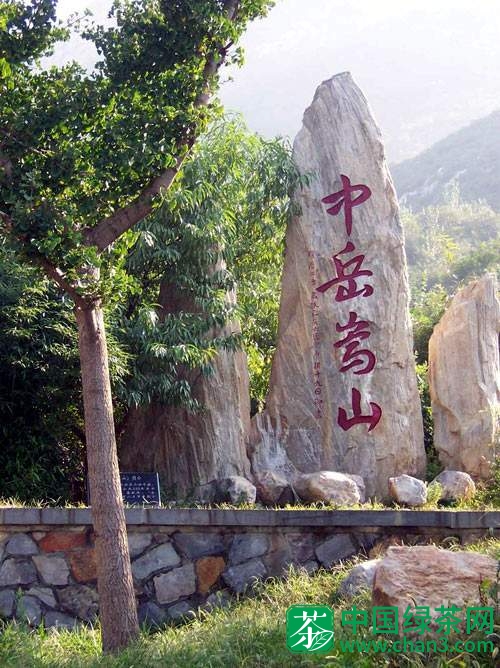 中岳仙茶产地