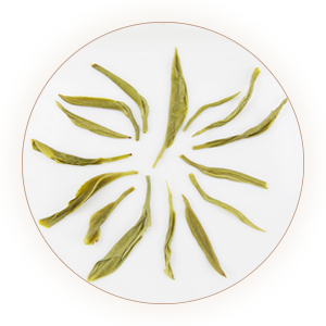 紫阳毛尖：无忧何必去饮酒，清静常品紫阳茶
