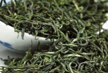 紫阳毛尖的功效与作用 喝紫阳毛尖能减肥吗-茗扬网