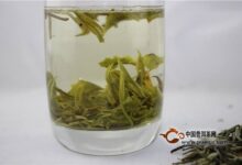 喝古劳茶有哪些好处-茗扬网