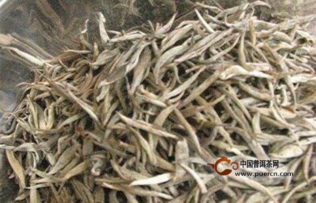 古劳茶产地在哪里