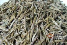 古劳茶的特点-茗扬网