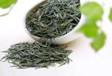 喝华顶云雾茶有什么好处，盘点华顶云雾茶的八大功效-茗扬网