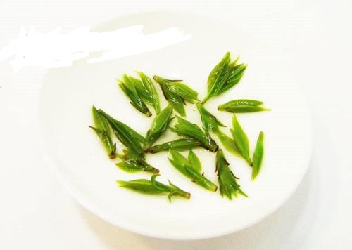 华顶云雾茶的功效与禁忌事项