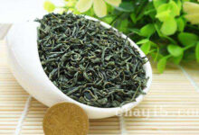 茶叶华顶云雾茶的作用与禁忌-茗扬网