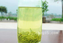 华顶云雾茶的功效与作用 华顶云雾茶的泡法-茗扬网