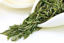 华顶云雾茶的泡法-茗扬网