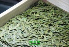 华顶云雾茶的功效与作用 华顶云雾茶的禁忌-茗扬网