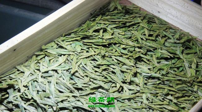 华顶云雾茶的功效与作用 华顶云雾茶的禁忌
