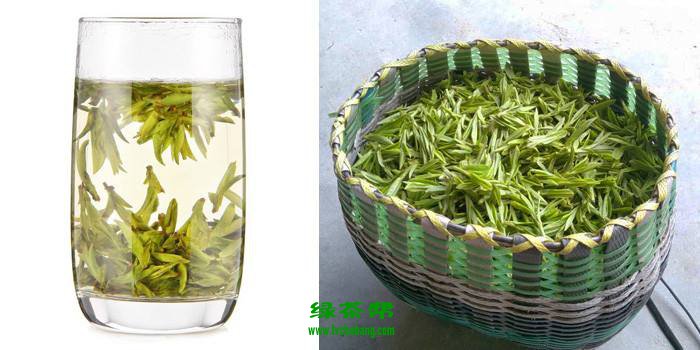 华顶云雾茶的功效与作用 华顶云雾茶的禁忌