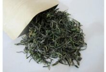 九华佛茶的功效与禁忌事项-茗扬网