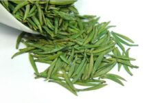 喝黎平雀舌茶对身体有什么好处-茗扬网