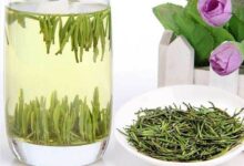 黎平雀舌茶的功效与禁忌事项-茗扬网