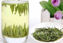 黎平雀舌茶的功效与作用 黎平雀舌茶的禁忌事项-茗扬网