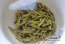 喝黎平雀舌有什么好处-茗扬网