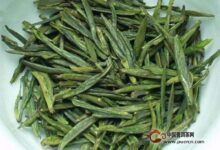 黎平雀舌的功效与作用-茗扬网