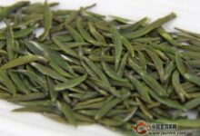 黎平雀舌茶保质期-茗扬网