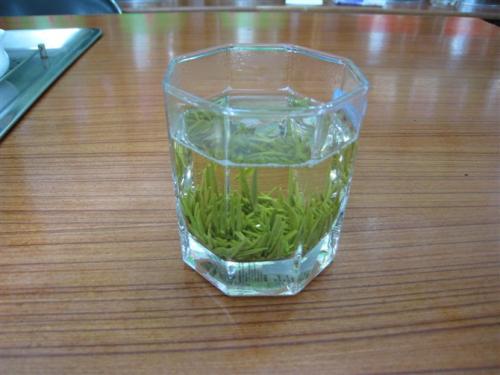 喝普龙茶对身体有什么好处