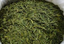 普龙茶的功效与禁忌事项-茗扬网