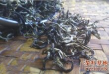 普龙茶是什么茶，普龙茶的品质特征-茗扬网