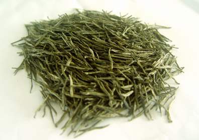 文君嫩绿的功效与禁忌事项