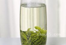 文君嫩绿的冲泡方法，7步泡出好喝的文君嫩绿-茗扬网