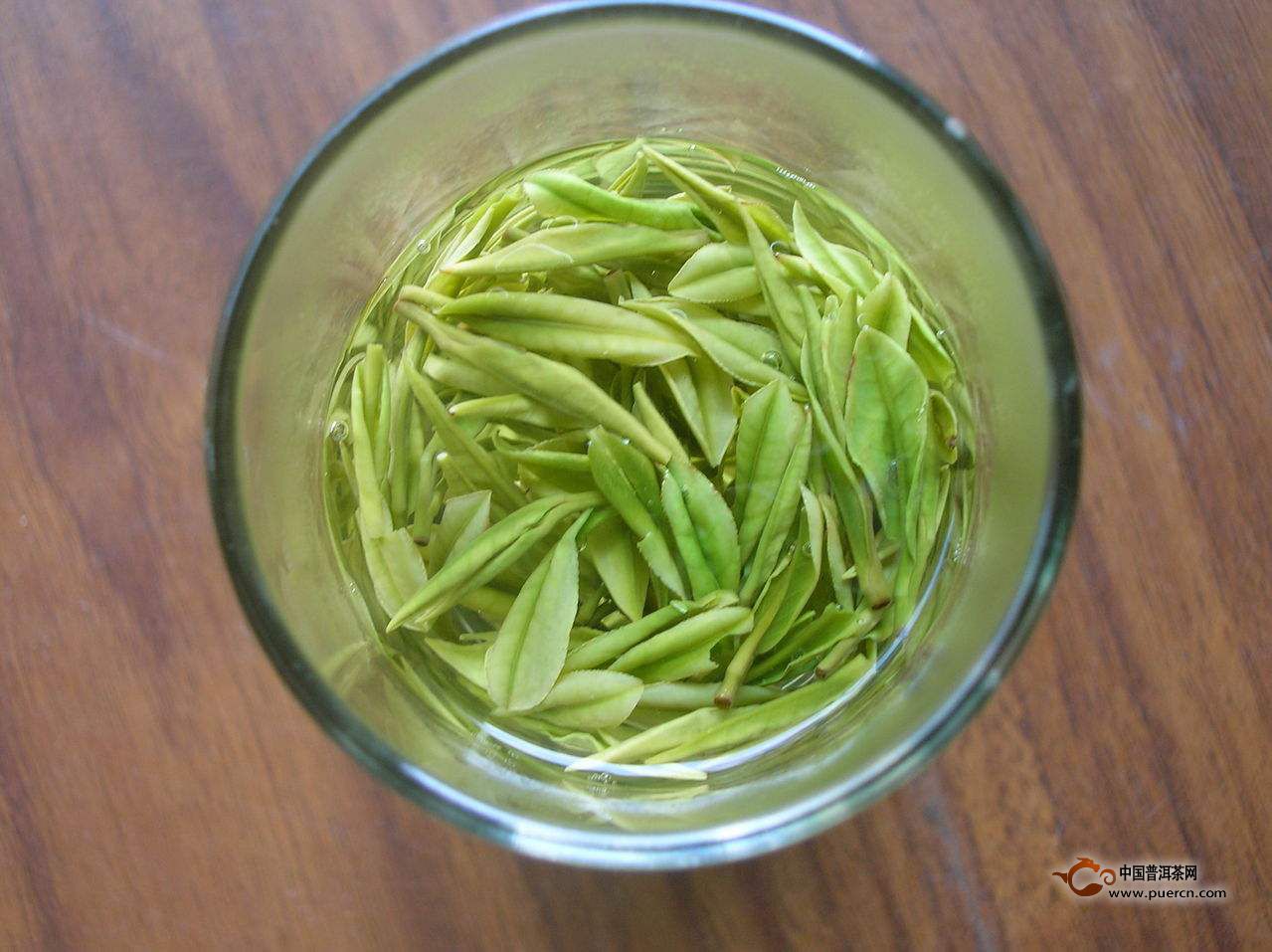 文君嫩绿的功效与禁忌