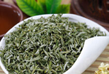 文君嫩绿的功效与作用 文君嫩绿怎么样-茗扬网