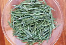 双龙银针功效与作用及禁忌事项-茗扬网