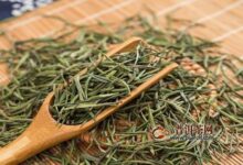 双龙银针的饮用禁忌，饮用双龙银针的副作用-茗扬网