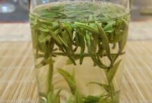 常喝双龙银针的好处，喝双龙银针的适宜人群-茗扬网