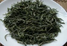 雪峰毛尖的功效与禁忌事项-茗扬网