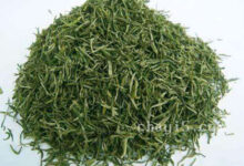 雪峰毛尖的功效与作用 雪峰毛尖的禁忌事项-茗扬网