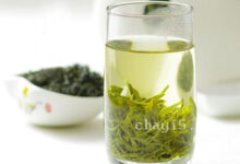 雪峰毛尖的冲泡方法，7步泡出好喝的雪峰毛尖-茗扬网