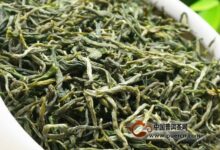 雪峰毛尖怎么泡好喝-茗扬网