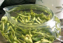 雪峰毛尖的功效与作用 雪峰毛尖的特点-茗扬网