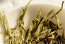 普洱茶和雪峰毛尖历史文化区别-茗扬网