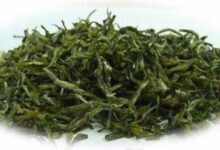 喝上饶白眉茶对身体有什么好处-茗扬网