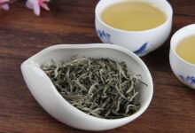 上饶白眉的功效与禁忌事项-茗扬网