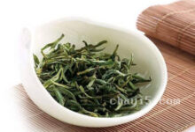 茶叶上饶白眉的作用与禁忌-茗扬网