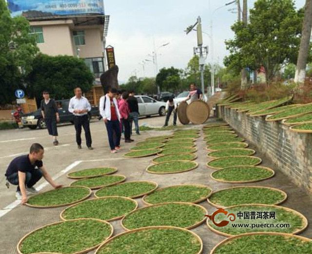 上饶白眉的制作工序