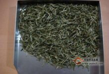 上饶白眉功效禁忌-茗扬网