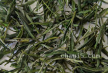 瀑布茶的功效与作用 瀑布茶什么时候喝最好-茗扬网