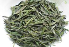 喝午子仙毫茶有什么好处，盘点午子仙毫茶的八大功效-茗扬网