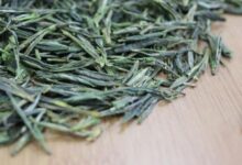 午子仙毫的功效与禁忌事项-茗扬网