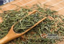 午子仙毫保健功效，午子仙毫适宜人群-茗扬网