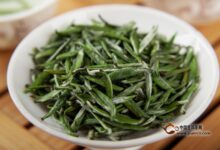 午子仙毫的选购技巧-茗扬网